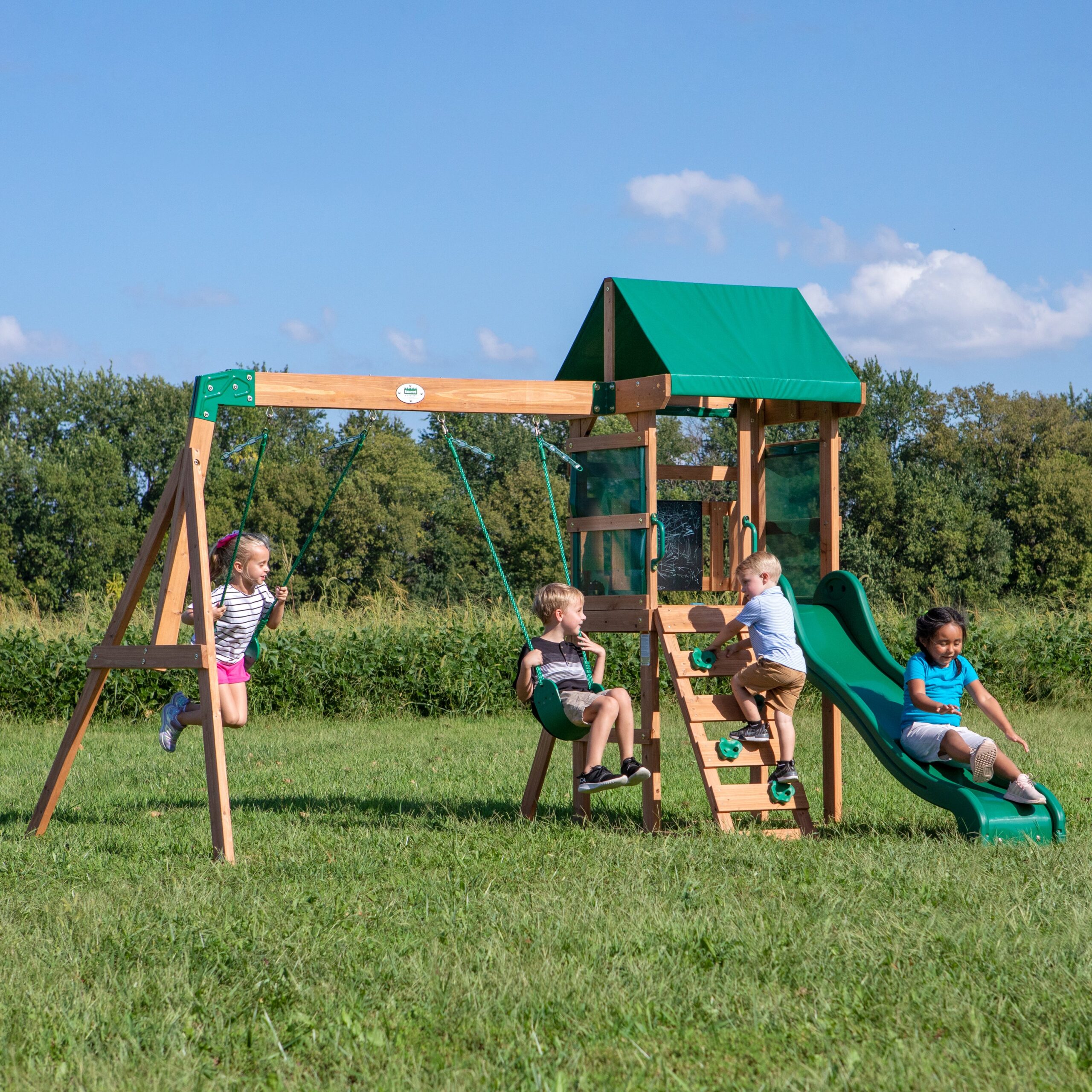 1-Buckley-Hill-Main-2.jpg Buckley Hill Swing Set - Image 1